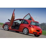 LSD Doors για Renault Mégane II